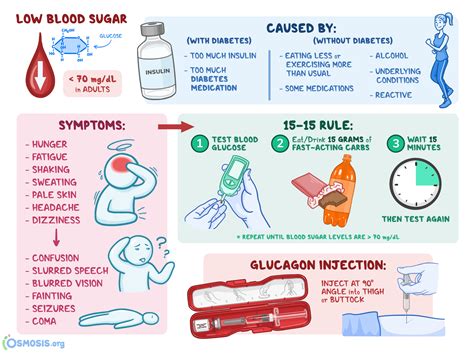 Hypoglycemia: What Is It, Causes, Testing, Treatment, and More | Osmosis