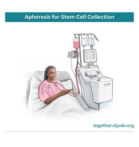 Apheresis for Stem Cell Collection - Together by St. Jude™