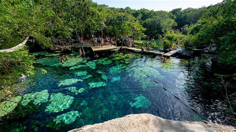 15 Best Cenotes near Tulum (2024) | The Whole World Is A Playground