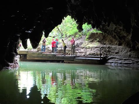 Waitomo glow worms caves in New Zealand. emerging by boat … | Flickr