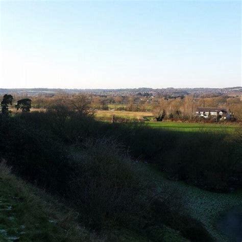 Dog walk at Cookham · Berkshire · Walkiees