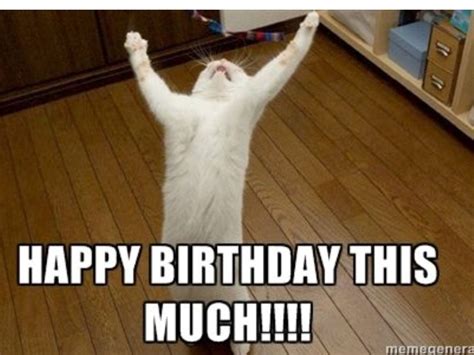 Quotes Birthday | Funny happy birthday meme, Happy birthday cat, Happy ...