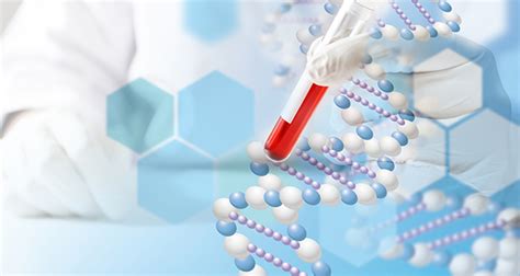 Scientists use genomics to identify networks for syphilis transmission