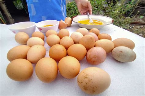 Bangkok Post - These eggs are fake, says angry buyer