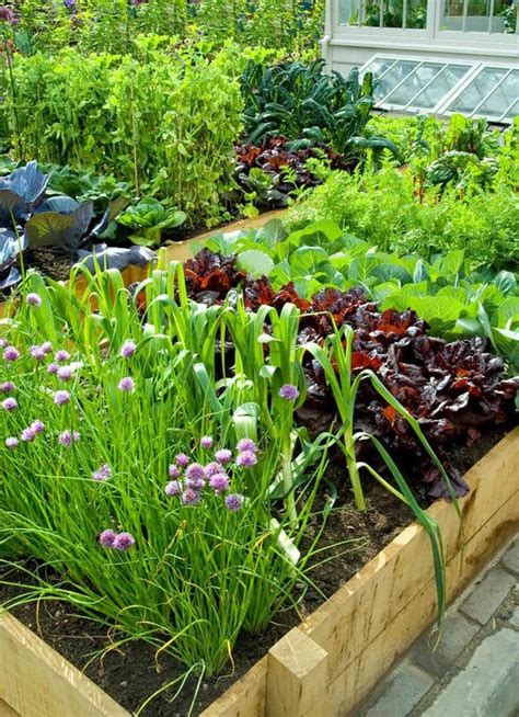 18 Perennial Veggies You Can Plant Once and Harvest For Years | Home ...