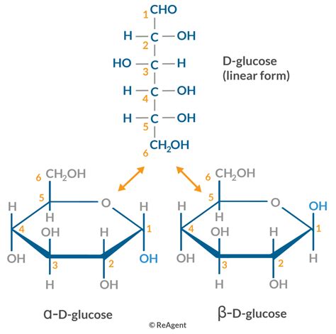 What are the Different Types of Sugar? | ReAgent Chemicals