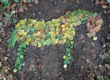 Half Day Environmental Art Workshops with Tim Pugh - Ruthin Craft Centre