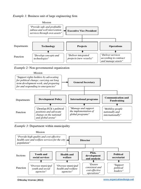 Mandate Examples Illustration | PDF | Health Sciences