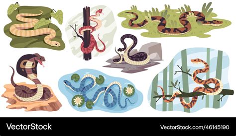 Snakes habitat different natural conditions Vector Image