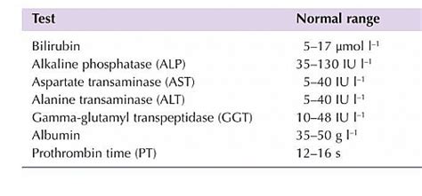 Liver Function Test Normal Values | LFT Normal Ranges - Jotscroll