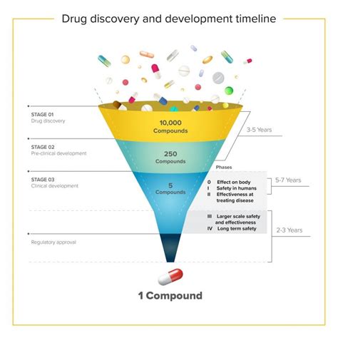 Stages Of Drug Development