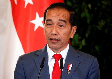 Indonesian president Widodo to visit Kyiv, Moscow this month—minister ...