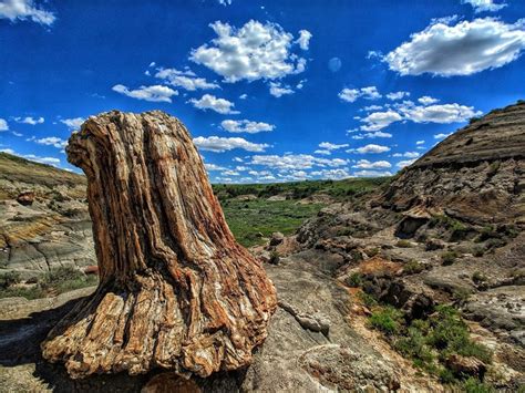 Petrified Trail Loop Hiking Trail, Medora, North Dakota