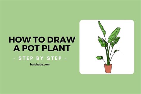 How To Draw A Pot Plant (Step By Step Drawing Tutorial) - Bujo Babe