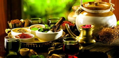 Unlocking The Essence Of Ayurveda