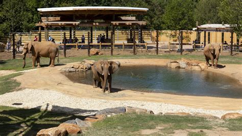 Best Zoos, Wildlife Parks and Petting Zoos Around Atlanta - Atlanta Parent