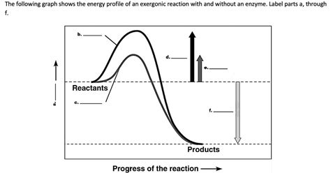 SOLVED: The following graph shows the energy profile of an exergonic ...