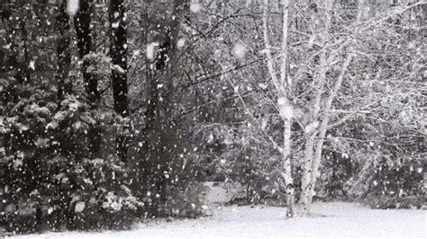 black and white snow flakes gif | WiffleGif