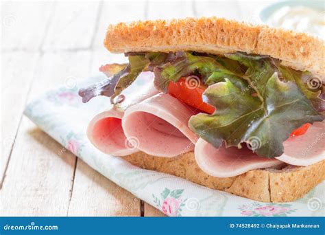 Sandwich bologna sausage stock photo. Image of tomato - 74528492