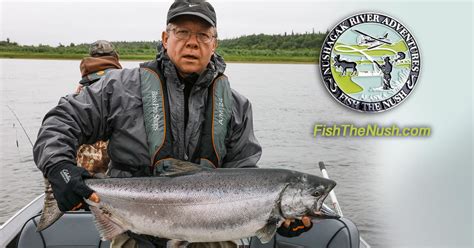 King salmon fishing in Alaska - Nushagak River Adventures