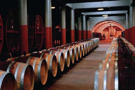 Barossa Wine Tours - Saviconnect - Barossa Valley 2-4 or 5-13 people