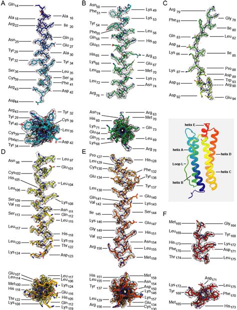 Our paper on the 2.7 Å structure of apoferritin with the Glacios and ...