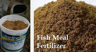 Anim Agriculture Technology: TYPES OF FISH FERTILIZER