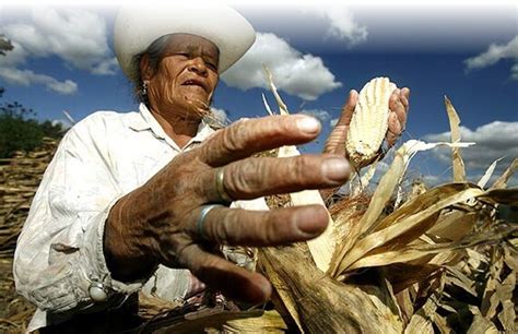 Los campesinos mexicanos, entre el abandono y el olvido. Efectos y ...