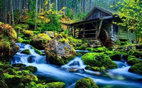 a stream running through a forest filled with green moss covered rocks ...