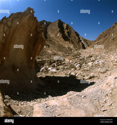 negev desert israel Stock Photo - Alamy