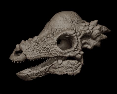 Pachycephalosaurus Skull on Behance