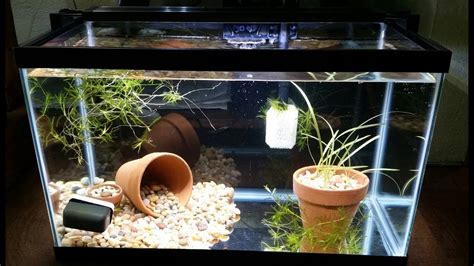 How To: Basic Aquarium Setup! Step-by-step, Easy, & Everything a (Small ...