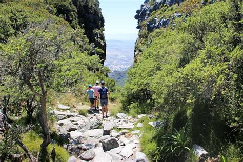 Table Mountain Hike Cape Town | Cabinets Matttroy