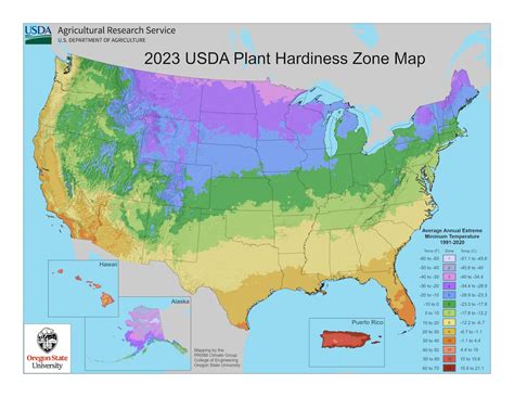 Usda Hardiness Zones Map 2023 Florida - Lacey Veronika