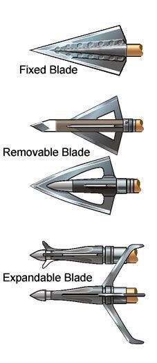 Crossbow Bolt Broadheads | Crossbow bolts, Crossbow hunting, Crossbow