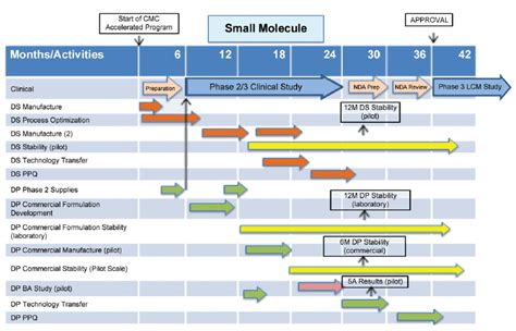 Drug Development Process Timeline