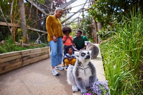 London Zoo Tickets, Save & Earn Picniq Points