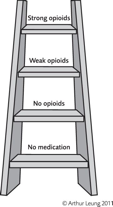 Figure 1 from From ladder to platform: a new concept for pain ...