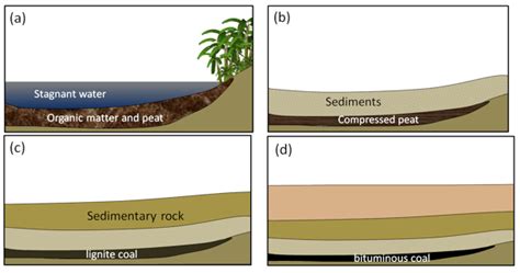 20.3 Fossil Fuels | Physical Geology