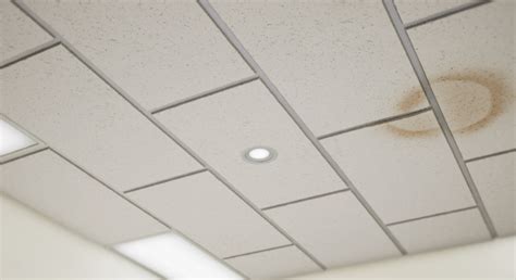 Office Ceiling Tiles in Materials - UE Marketplace