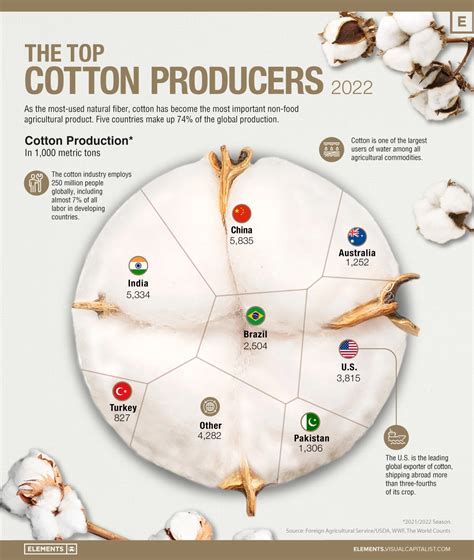 Top Cotton Producers around the World #Infographic - Visualistan