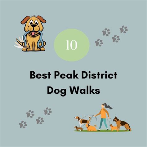 Top 10 best Peak District dog walks - Dog Friendly Peak District