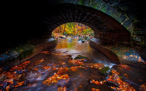 Under the Bridge