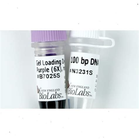 100 bp DNA Ladder, NEB | 1Malaysia Bio Lab