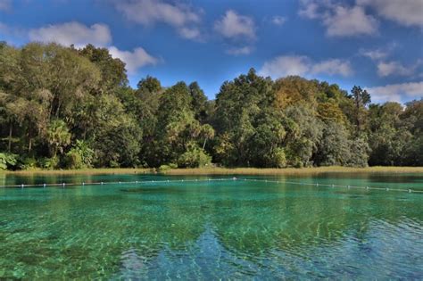 Rainbow Springs State Park: Discover Breathtaking Crystal Clear Waters ...