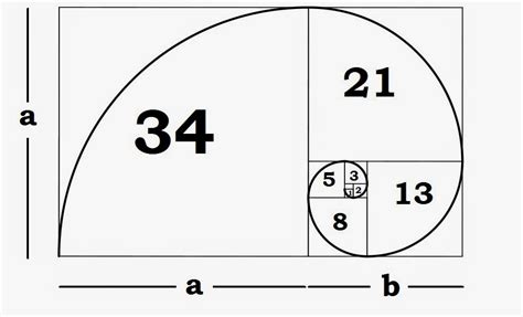 Understanding The Fibonacci Sequence & Golden Ratio