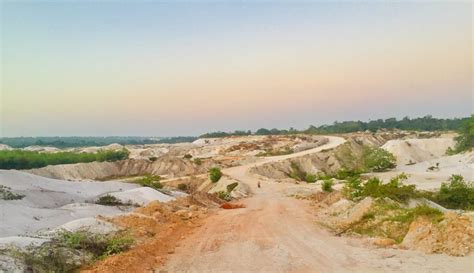 Exploring the natural side of Linden - Guyana Times