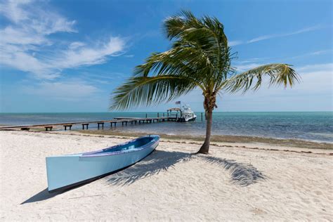 Remarkable Experiences You Can Only Have in Key Largo, Florida Keys