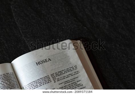 Hosea the prophet: Más de 45 fotos de stock con licencia libres de ...