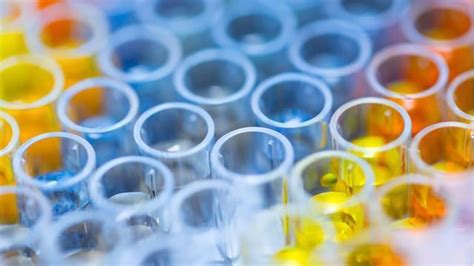 Tips for Successful Immunoassays | Technology Networks